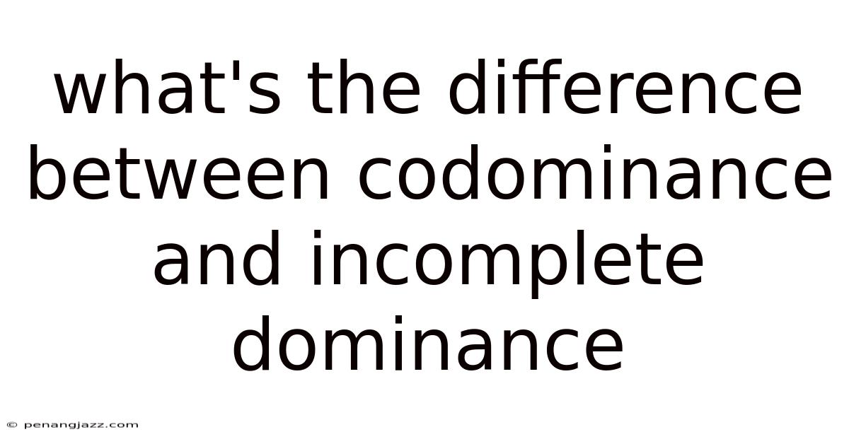 What's The Difference Between Codominance And Incomplete Dominance