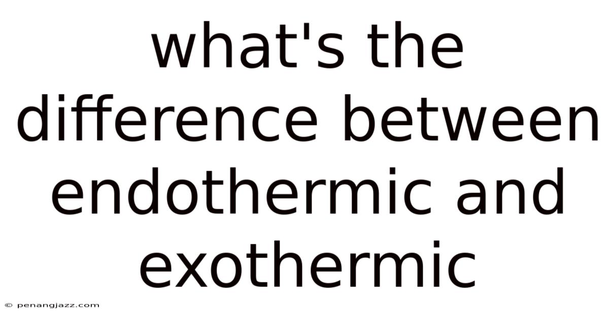 What's The Difference Between Endothermic And Exothermic