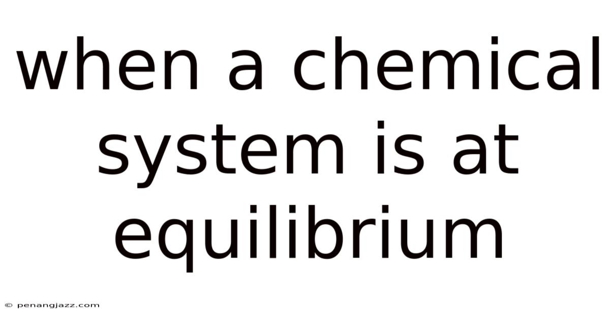 When A Chemical System Is At Equilibrium