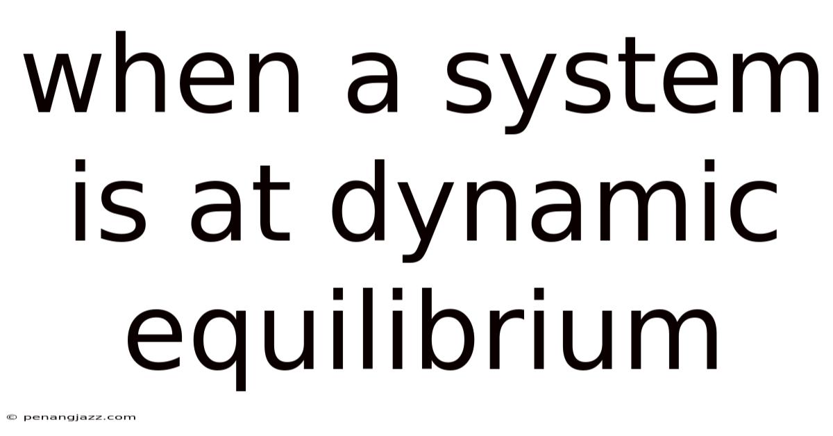 When A System Is At Dynamic Equilibrium