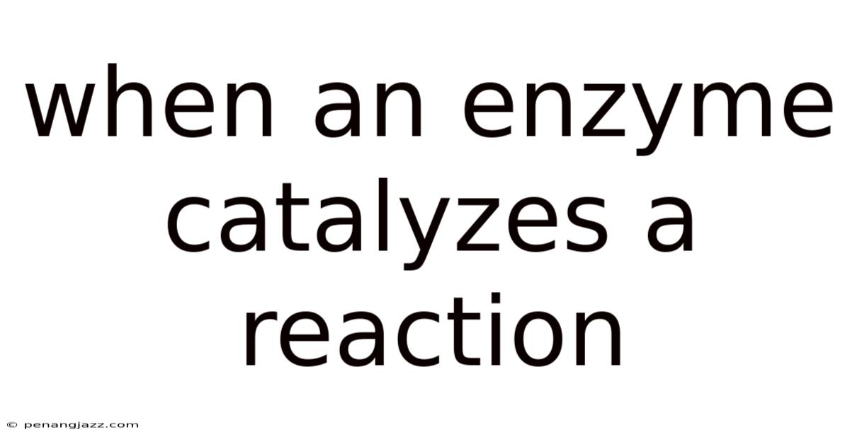 When An Enzyme Catalyzes A Reaction