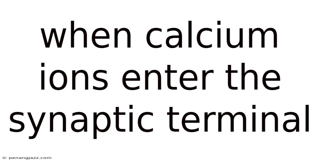 When Calcium Ions Enter The Synaptic Terminal