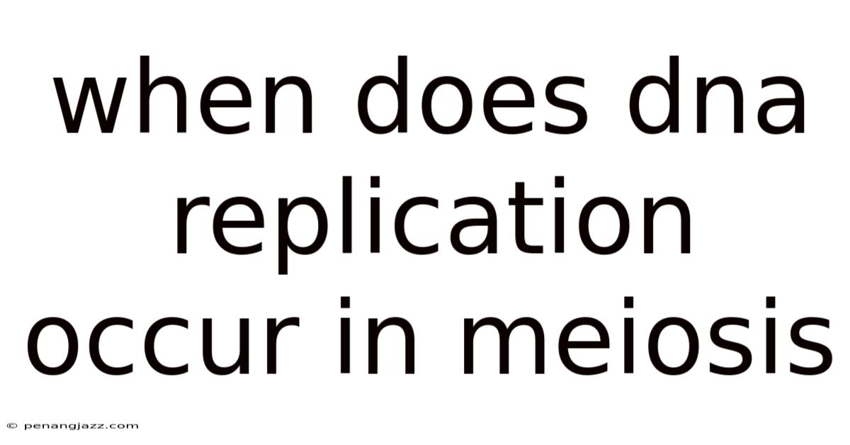When Does Dna Replication Occur In Meiosis