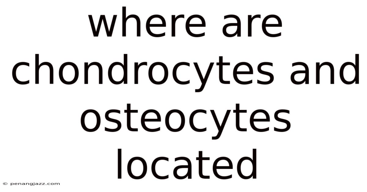 Where Are Chondrocytes And Osteocytes Located