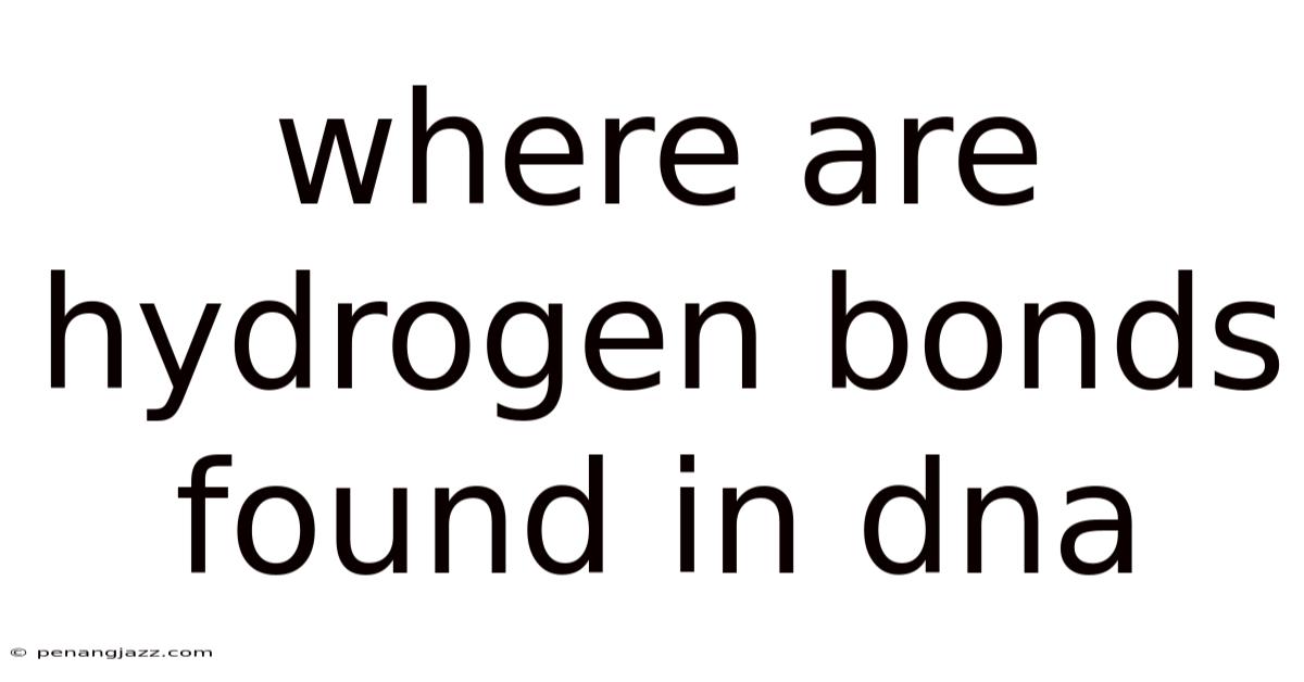 Where Are Hydrogen Bonds Found In Dna