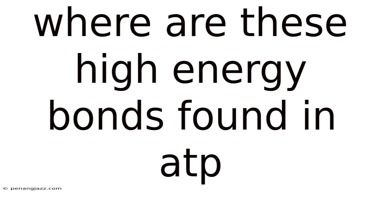 Where Are These High Energy Bonds Found In Atp