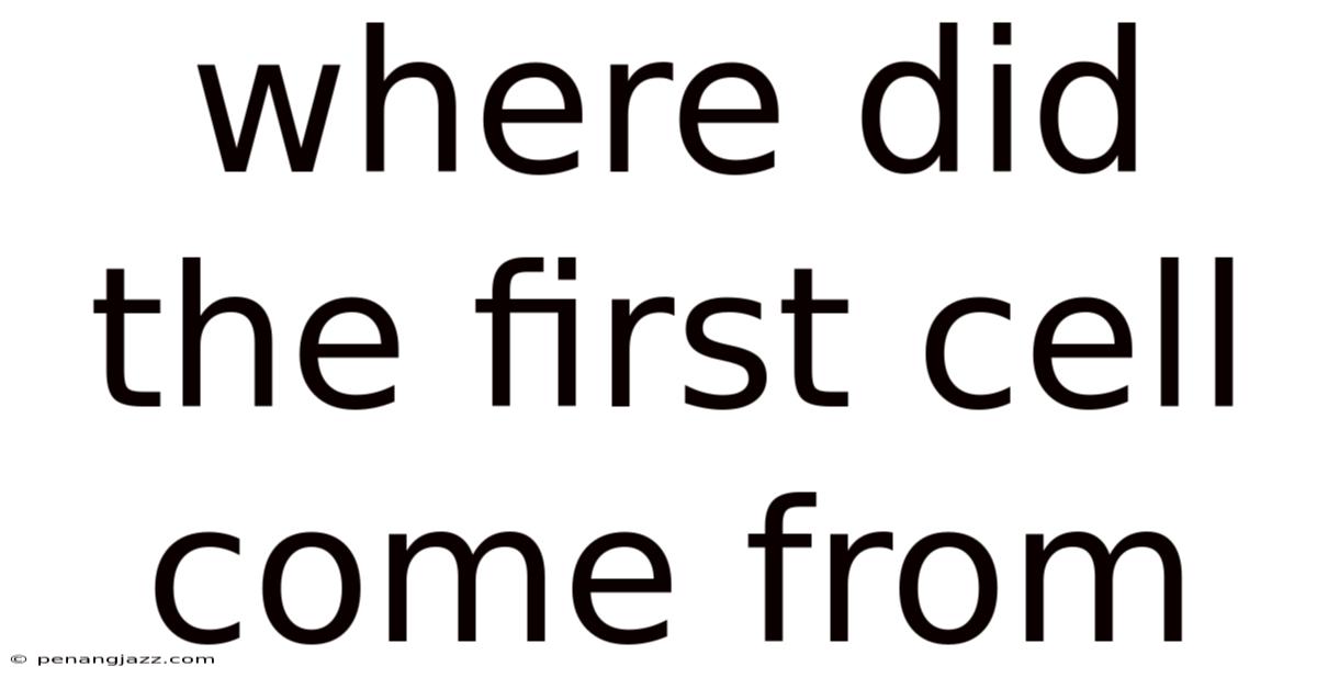Where Did The First Cell Come From