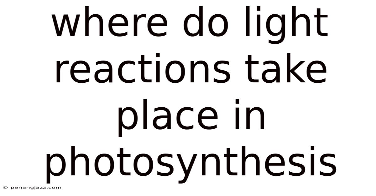 Where Do Light Reactions Take Place In Photosynthesis