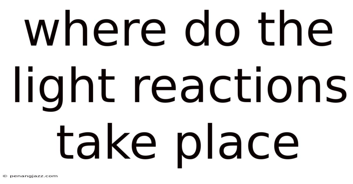 Where Do The Light Reactions Take Place