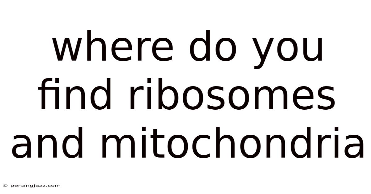 Where Do You Find Ribosomes And Mitochondria
