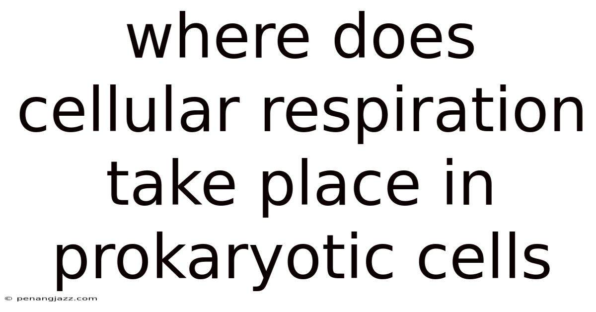Where Does Cellular Respiration Take Place In Prokaryotic Cells