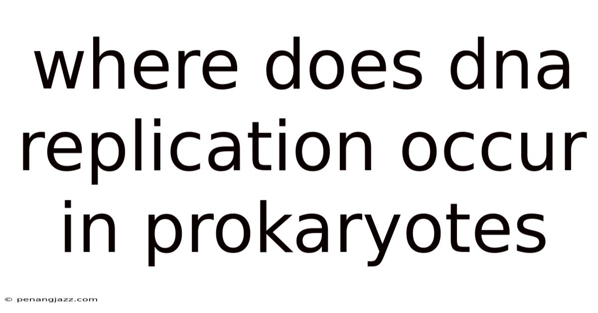Where Does Dna Replication Occur In Prokaryotes
