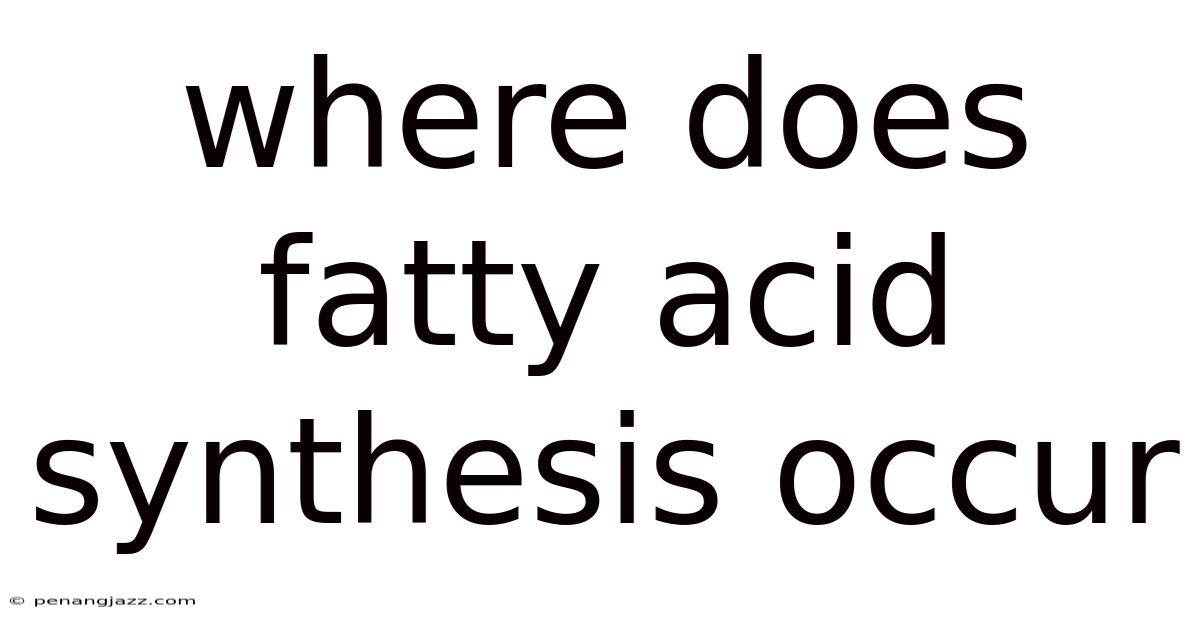 Where Does Fatty Acid Synthesis Occur