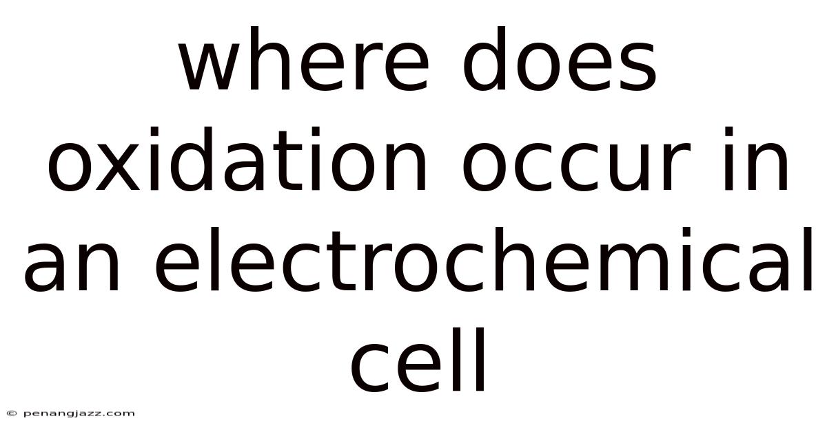 Where Does Oxidation Occur In An Electrochemical Cell