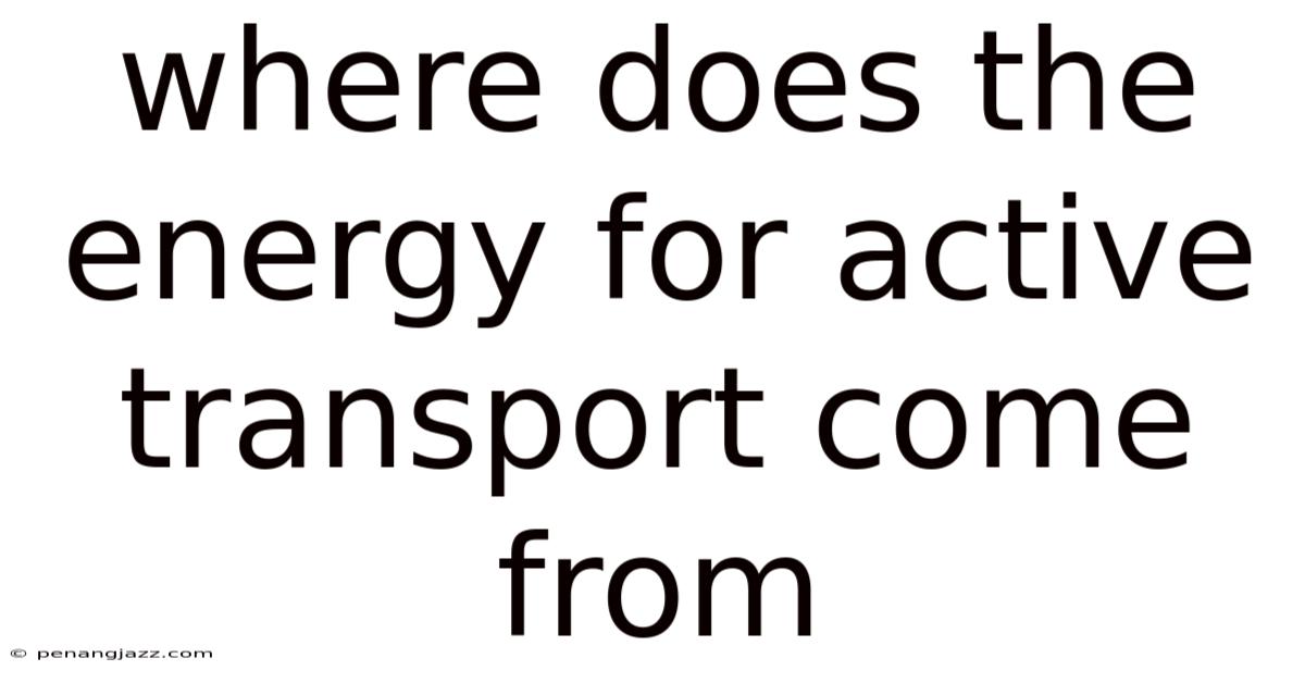 Where Does The Energy For Active Transport Come From