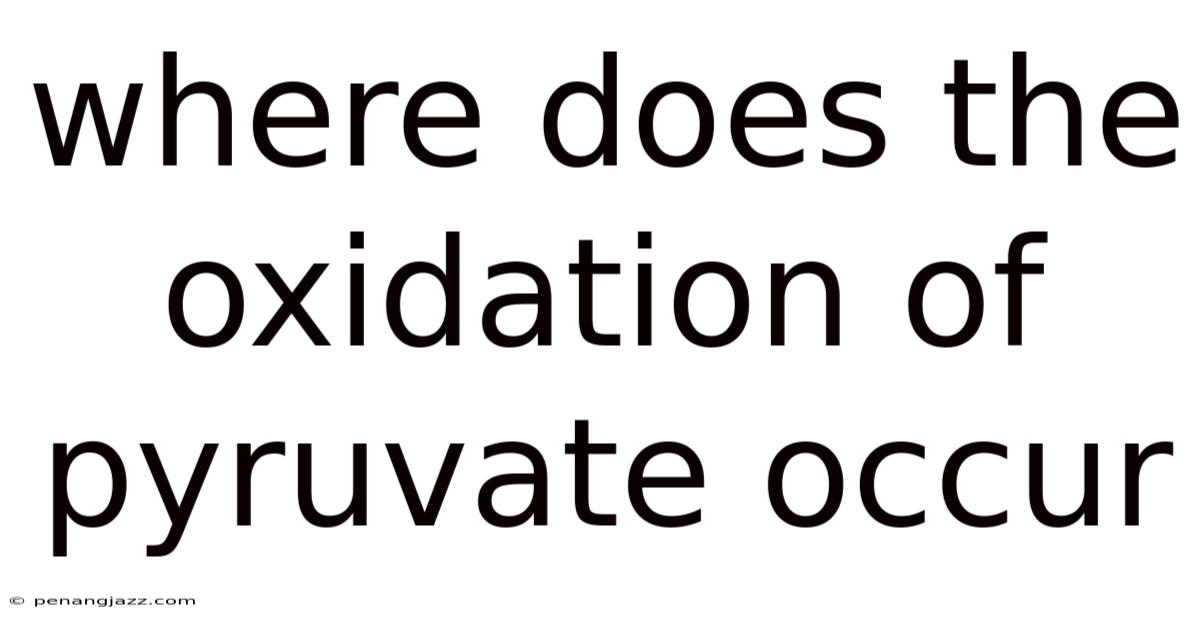 Where Does The Oxidation Of Pyruvate Occur