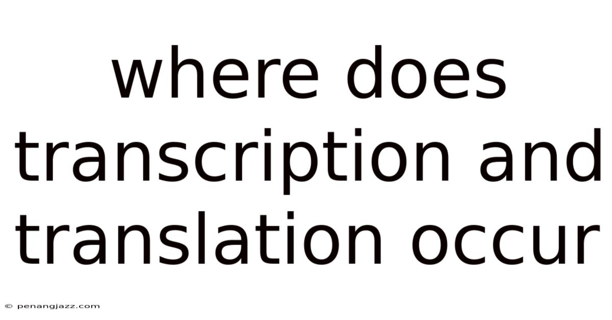 Where Does Transcription And Translation Occur