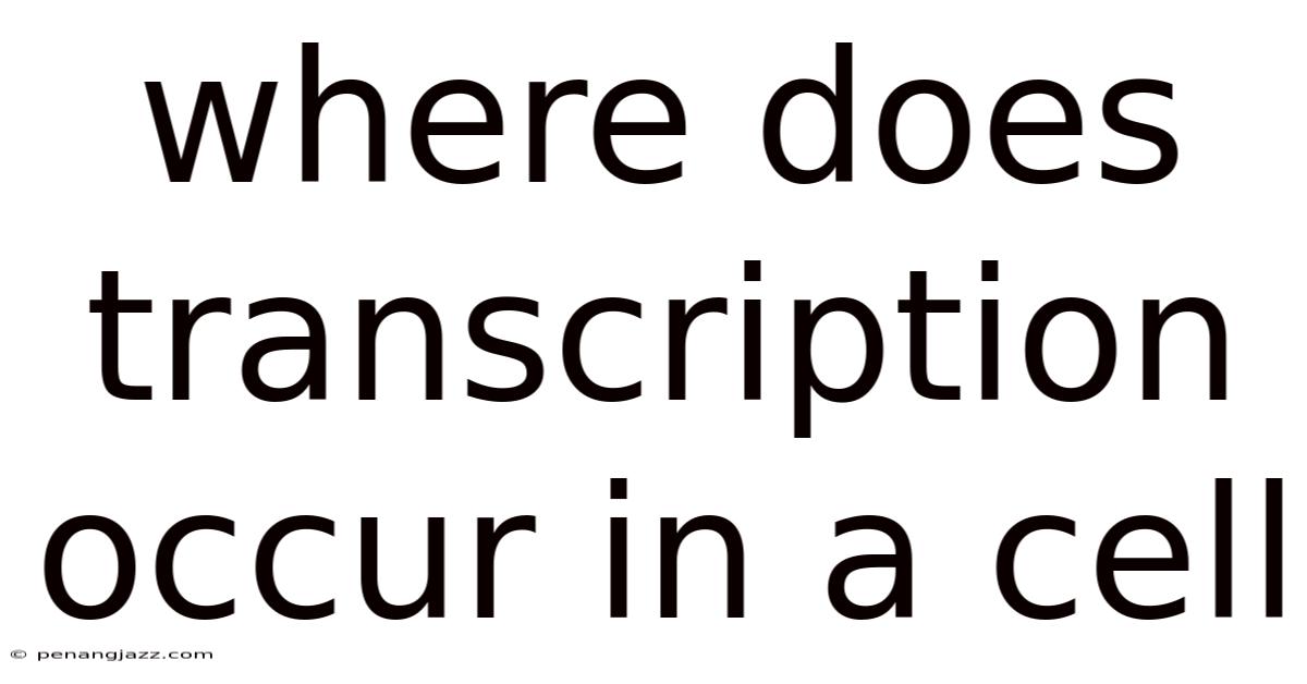 Where Does Transcription Occur In A Cell
