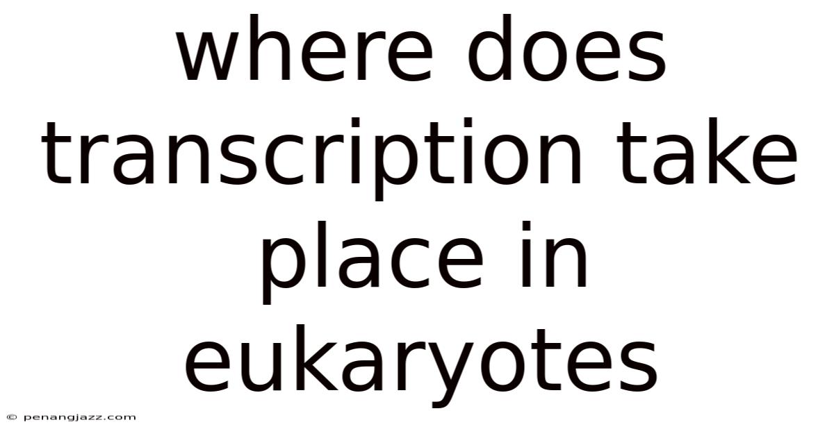Where Does Transcription Take Place In Eukaryotes