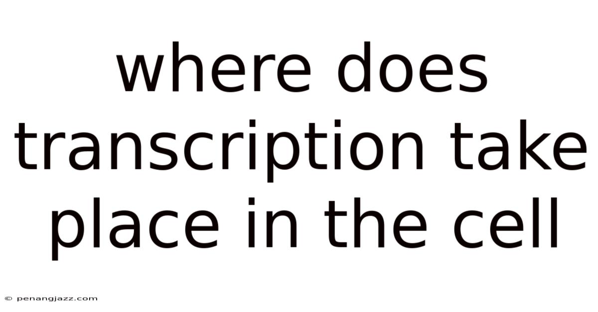 Where Does Transcription Take Place In The Cell