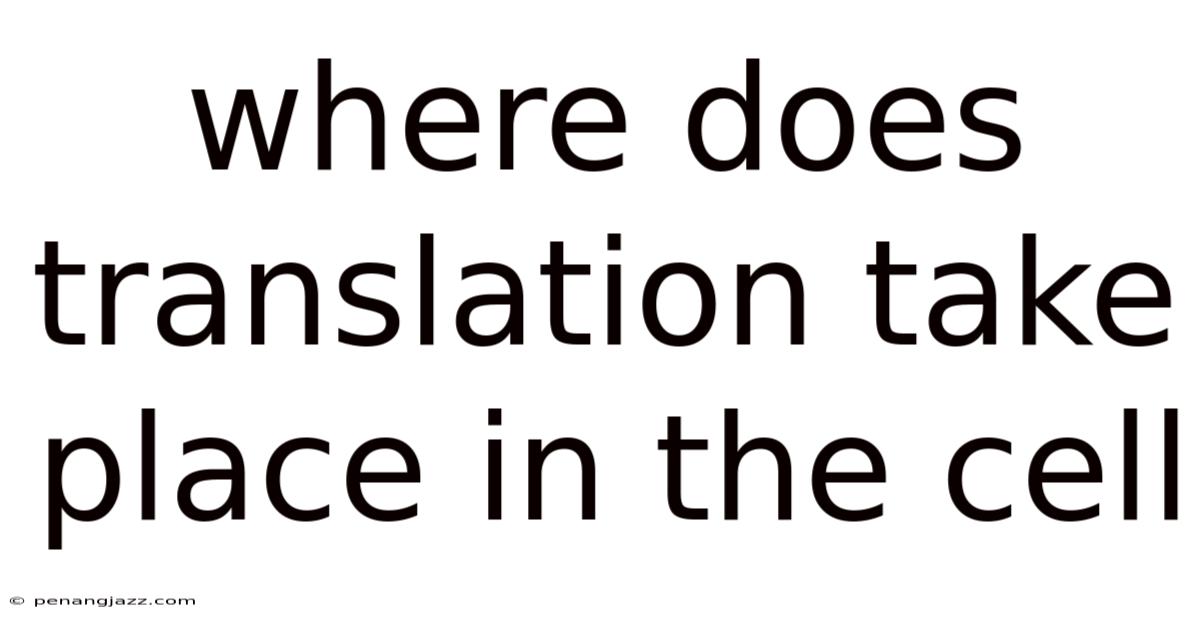 Where Does Translation Take Place In The Cell
