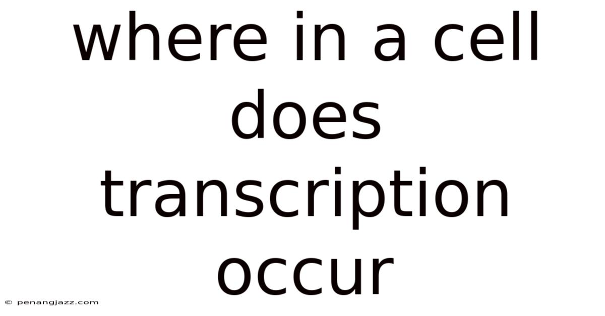 Where In A Cell Does Transcription Occur