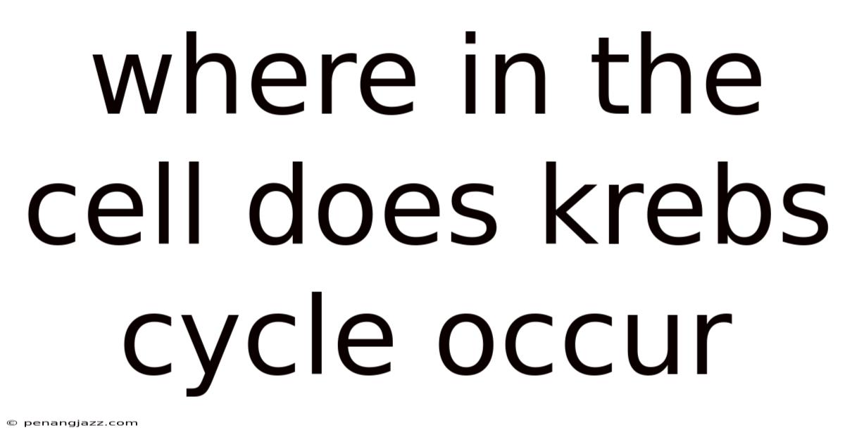 Where In The Cell Does Krebs Cycle Occur