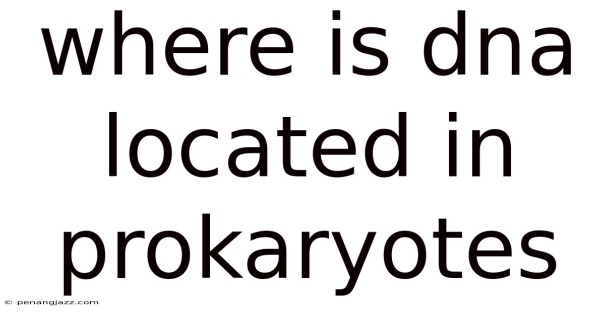 Where Is Dna Located In Prokaryotes