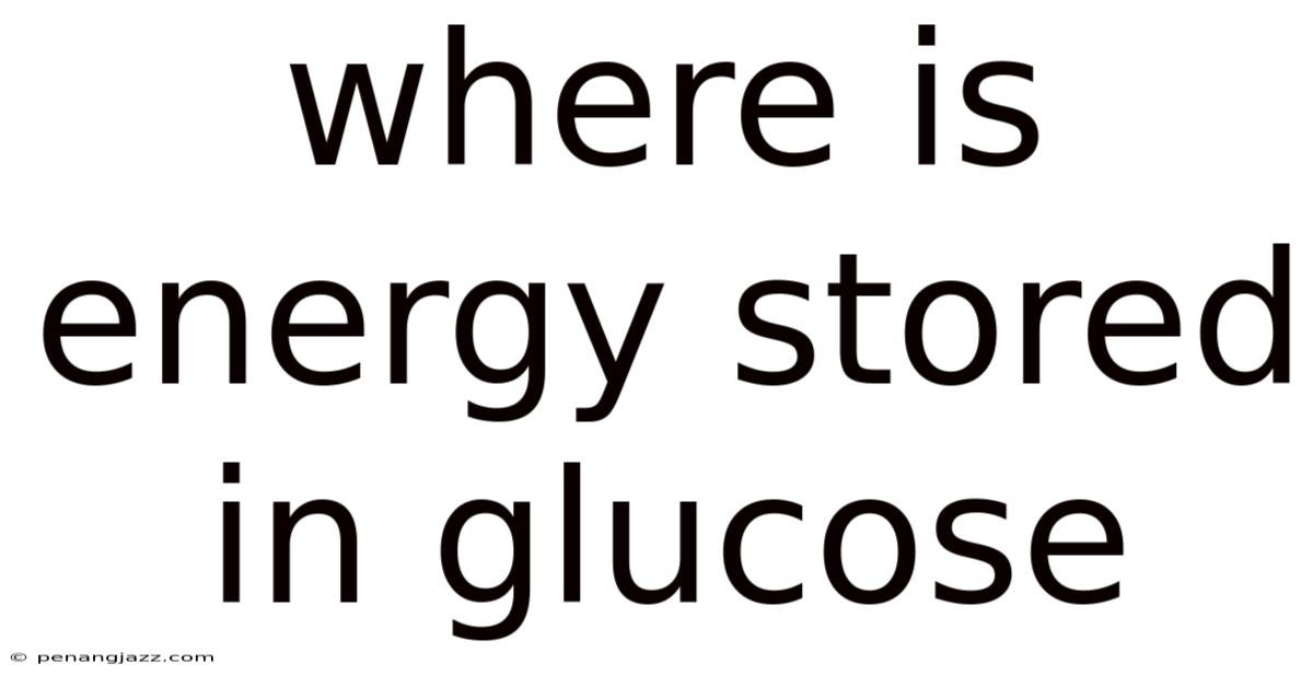 Where Is Energy Stored In Glucose
