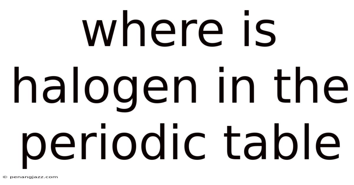 Where Is Halogen In The Periodic Table