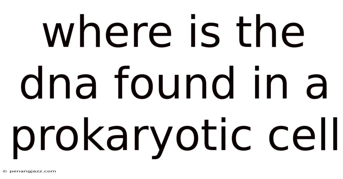 Where Is The Dna Found In A Prokaryotic Cell