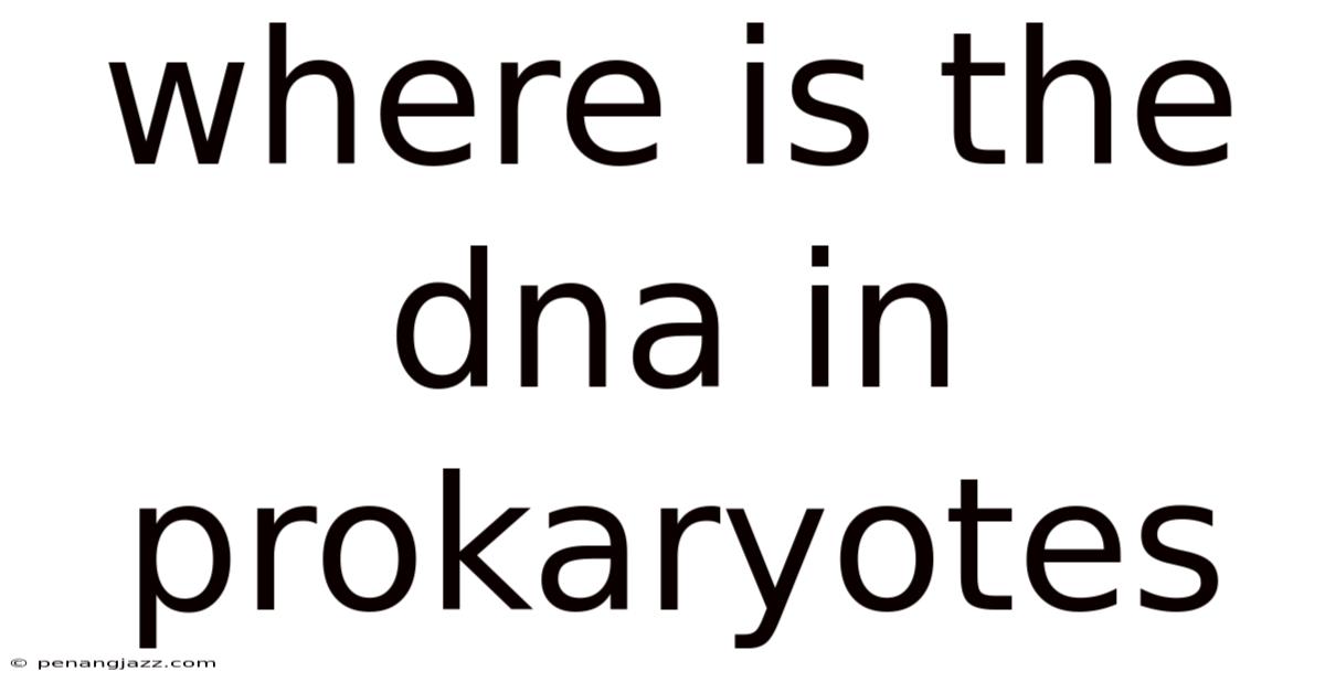 Where Is The Dna In Prokaryotes
