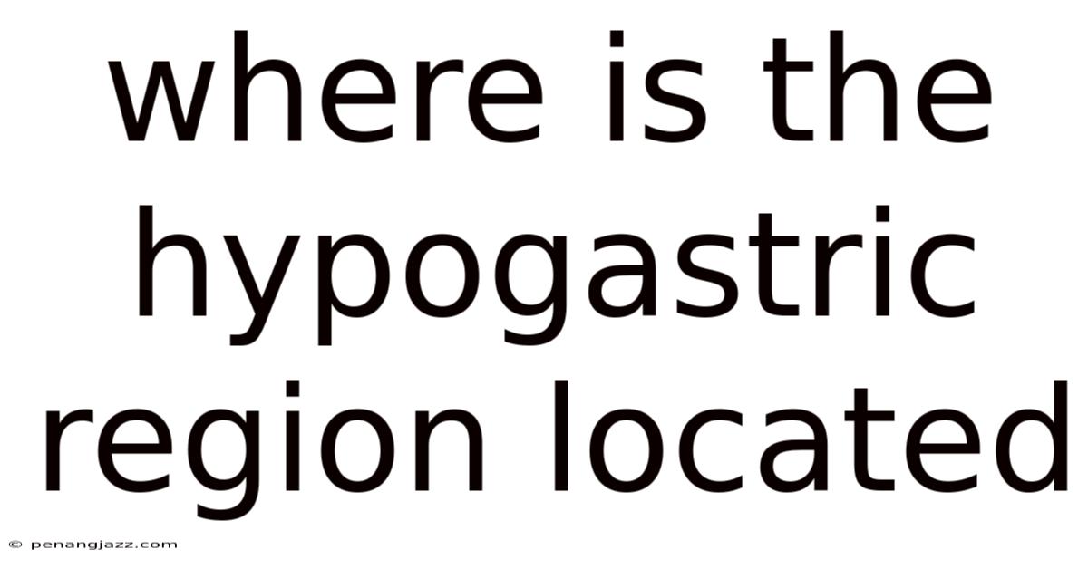 Where Is The Hypogastric Region Located