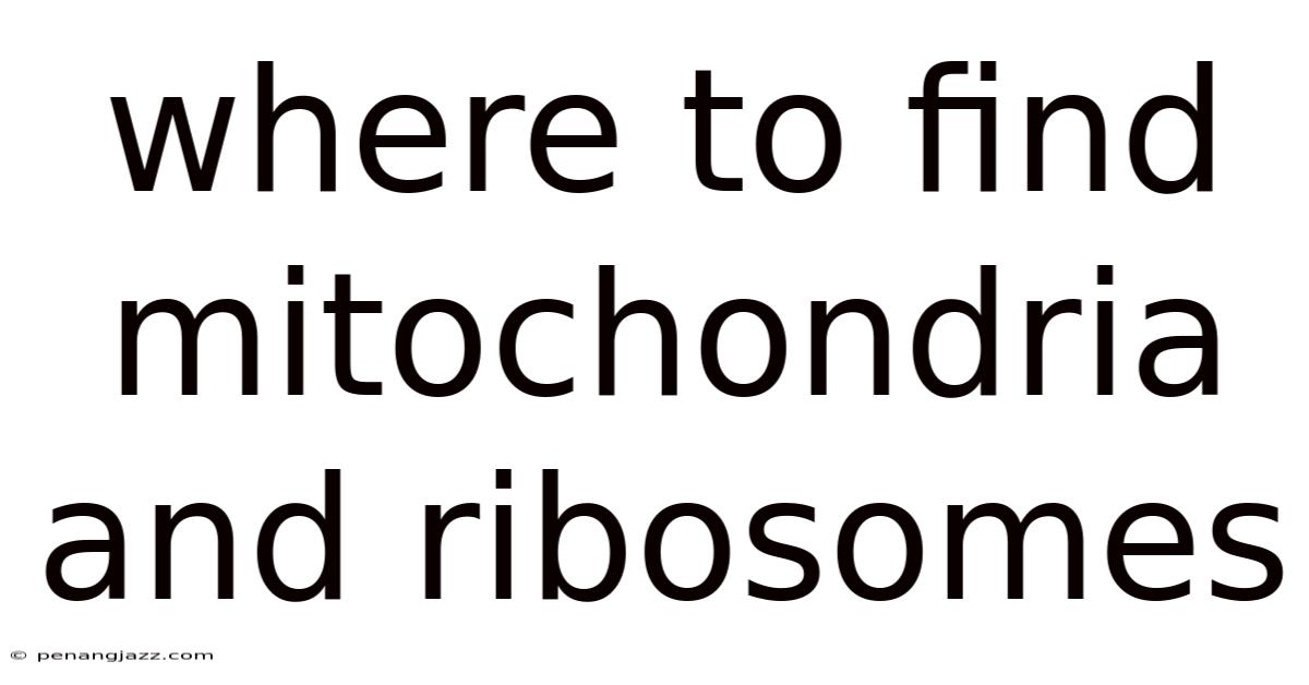 Where To Find Mitochondria And Ribosomes