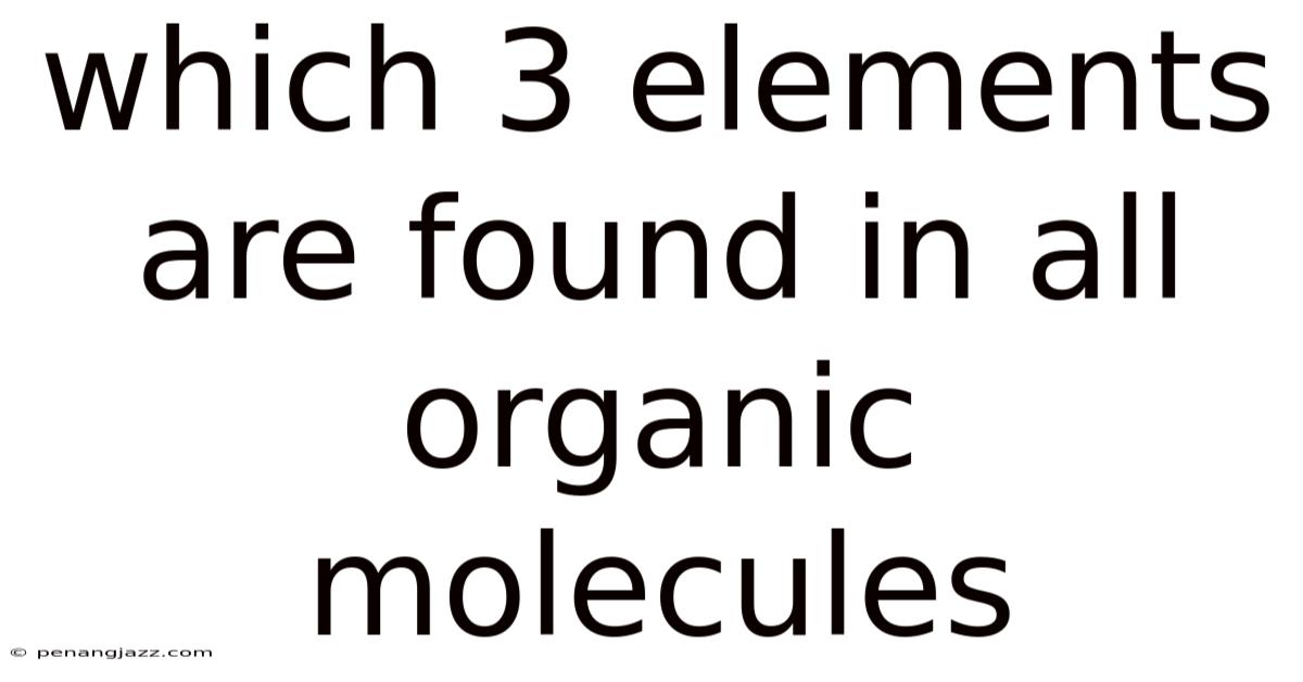 Which 3 Elements Are Found In All Organic Molecules