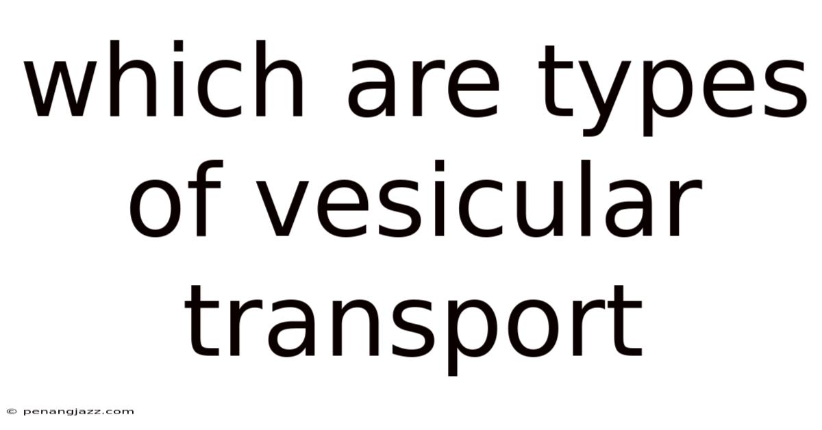 Which Are Types Of Vesicular Transport