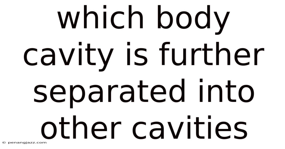 Which Body Cavity Is Further Separated Into Other Cavities