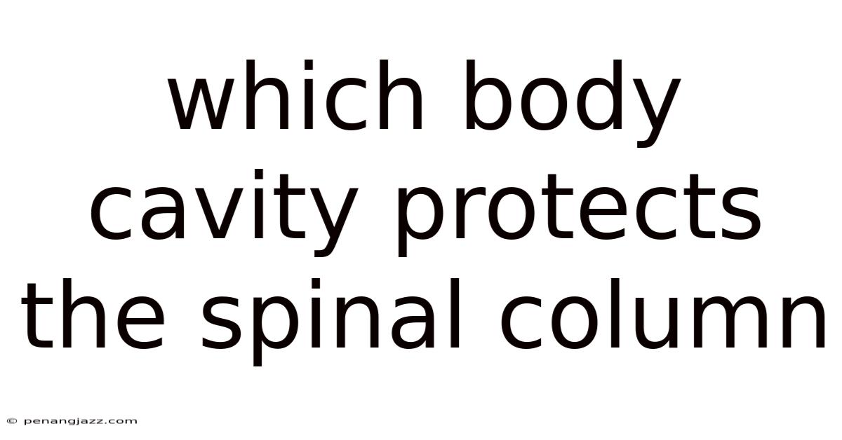 Which Body Cavity Protects The Spinal Column