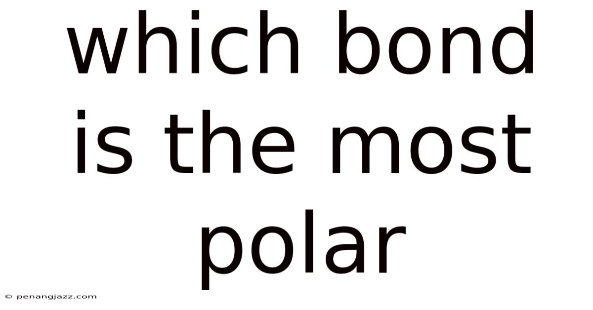 Which Bond Is The Most Polar