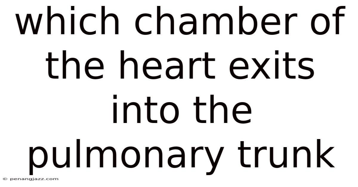 Which Chamber Of The Heart Exits Into The Pulmonary Trunk