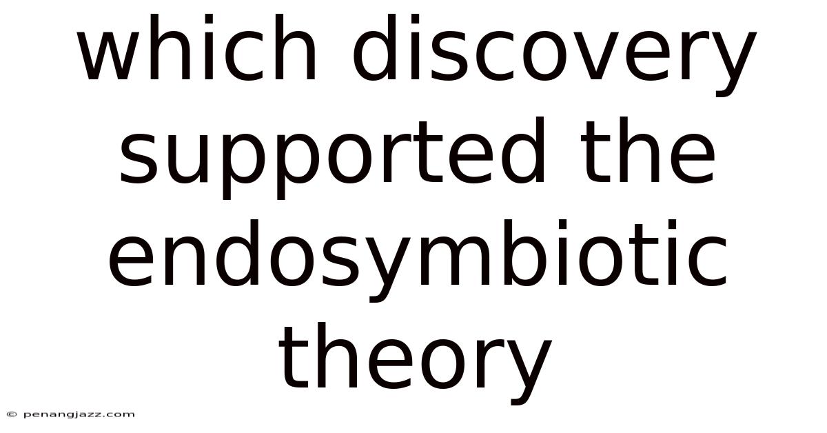 Which Discovery Supported The Endosymbiotic Theory
