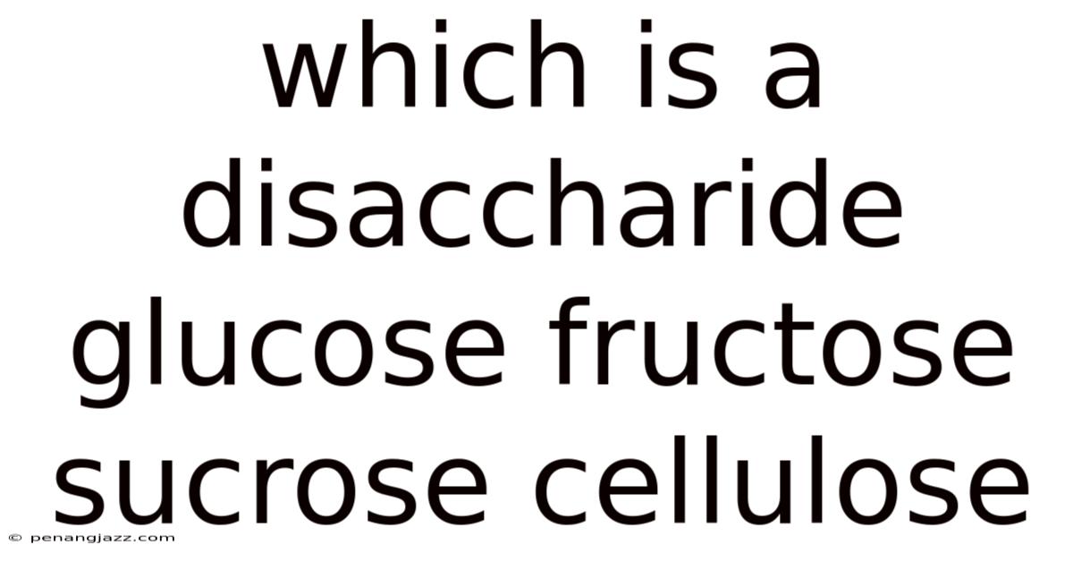 Which Is A Disaccharide Glucose Fructose Sucrose Cellulose