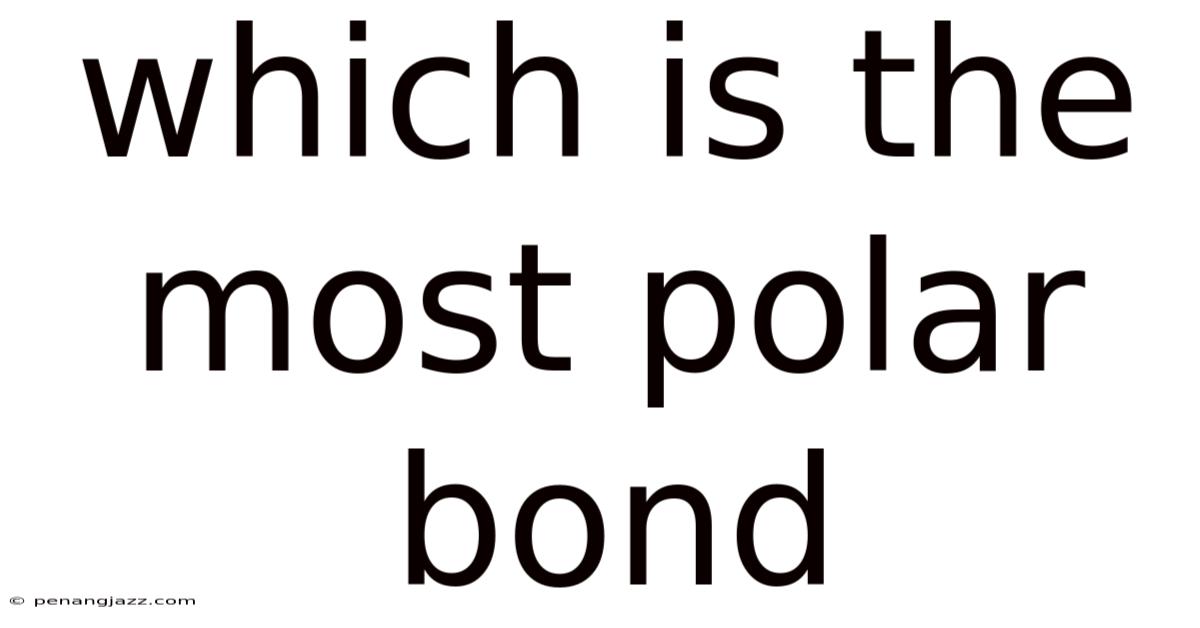 Which Is The Most Polar Bond