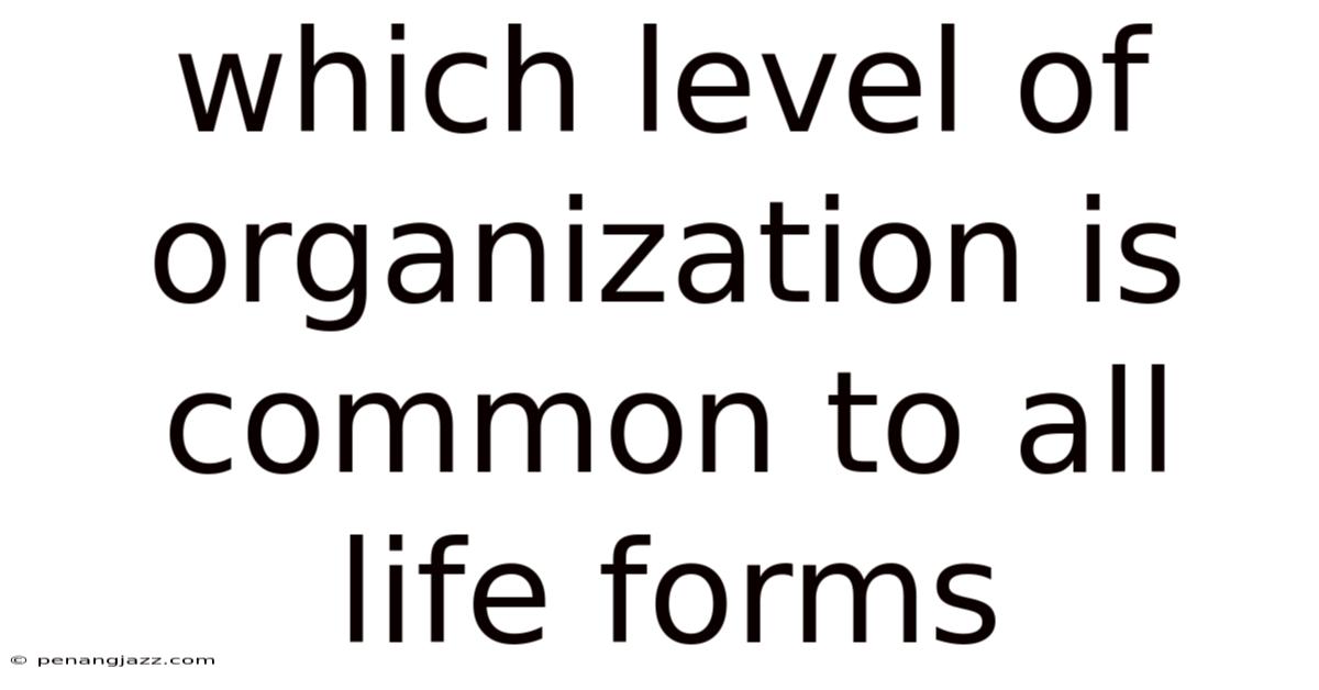 Which Level Of Organization Is Common To All Life Forms