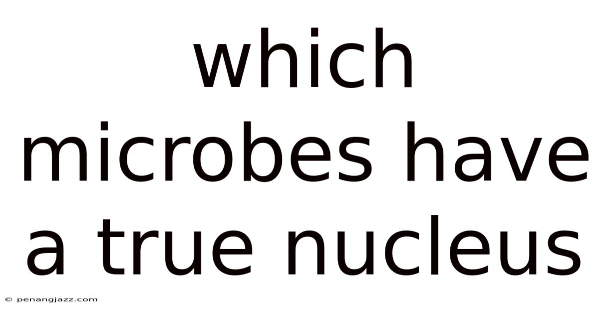 Which Microbes Have A True Nucleus