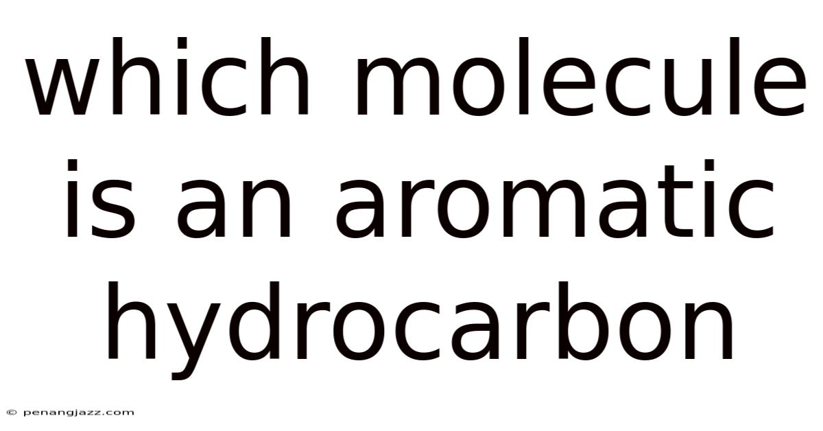 Which Molecule Is An Aromatic Hydrocarbon