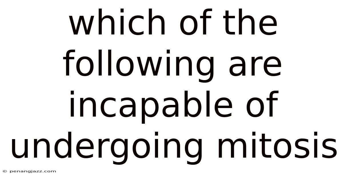 Which Of The Following Are Incapable Of Undergoing Mitosis