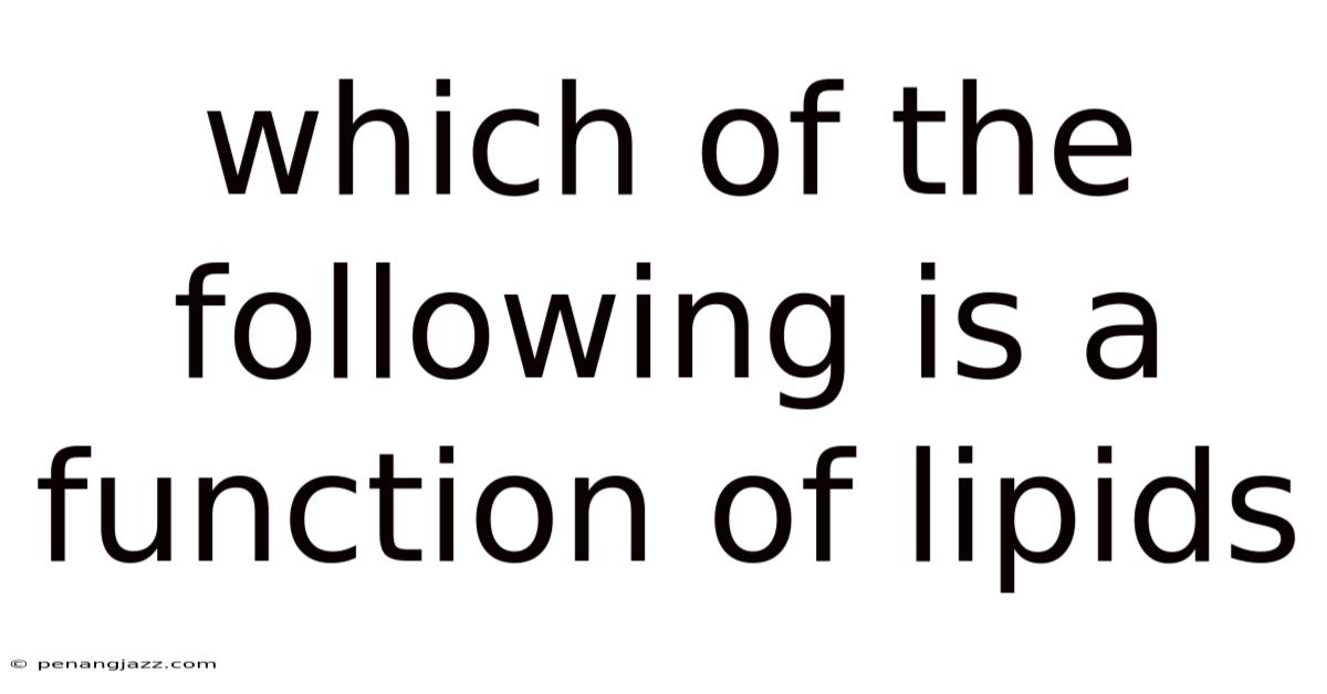 Which Of The Following Is A Function Of Lipids