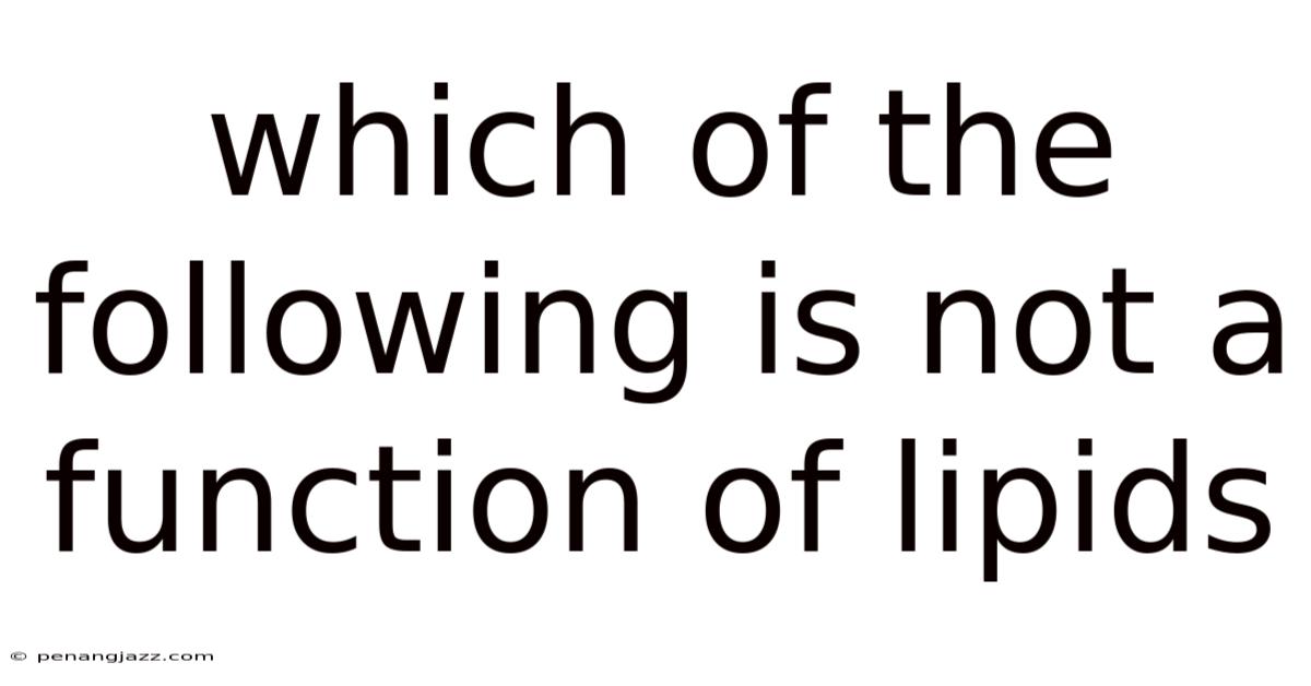 Which Of The Following Is Not A Function Of Lipids