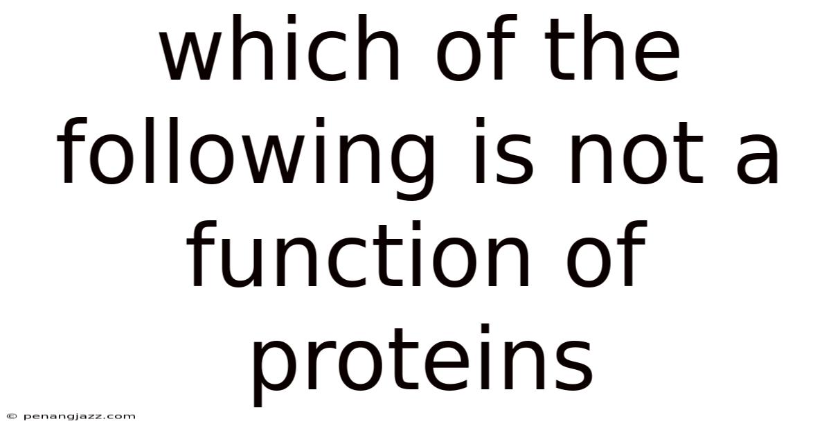 Which Of The Following Is Not A Function Of Proteins